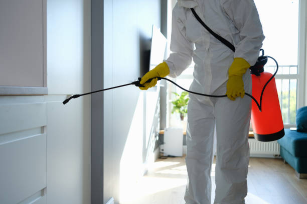 Best Mold Removal Company Near Me  in Puyallup, WA